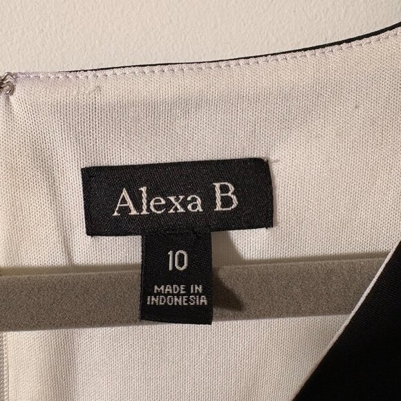 Black & White Lace Alexa B Dress | Sleeveless | Size 10 - Picture 2 of 7